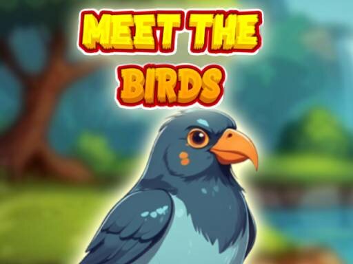 casual game:Meet The Birds