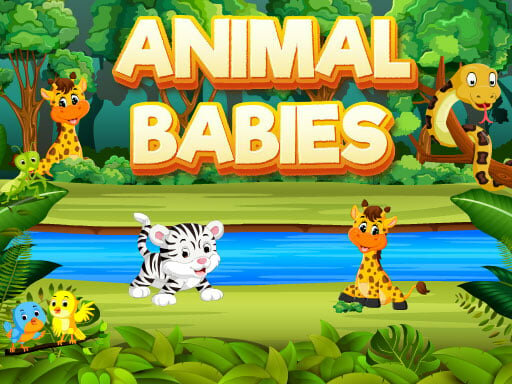 casual game:Animal Babies