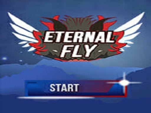 casual game:Eternal Fly